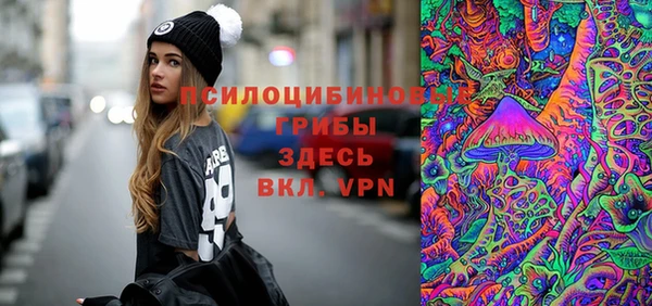 ешки Коряжма