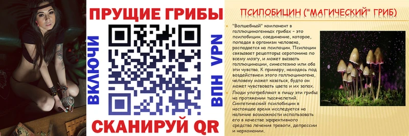 Галлюциногенные грибы Magic Shrooms  Пойковский 
